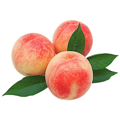 桃子【毛桃】